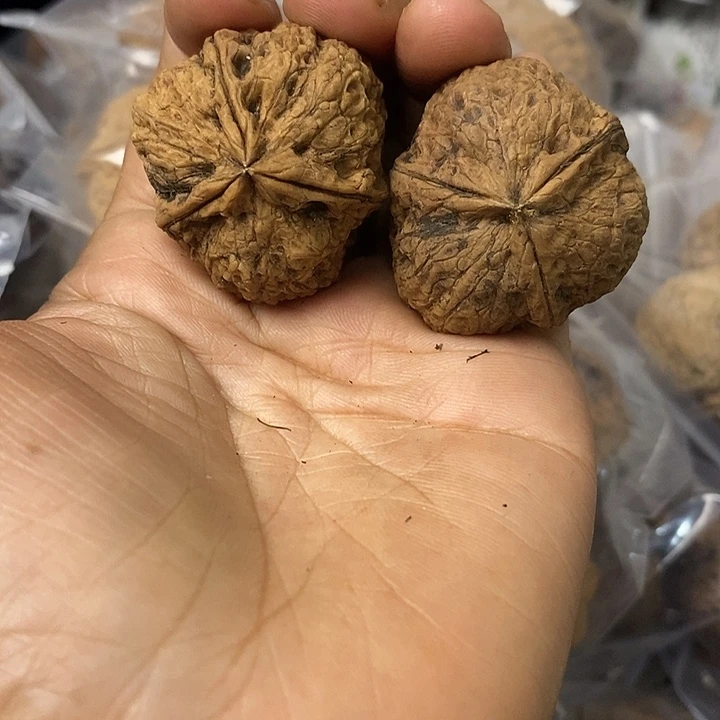 核桃云南铁核桃基地9