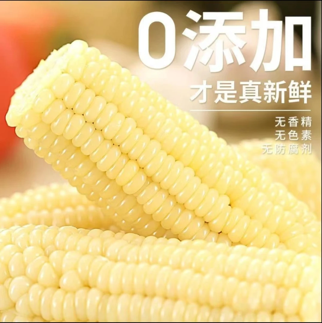 【试吃两根】新鲜白糯玉米香甜糯粘真空独立包装低脂代餐到手8根