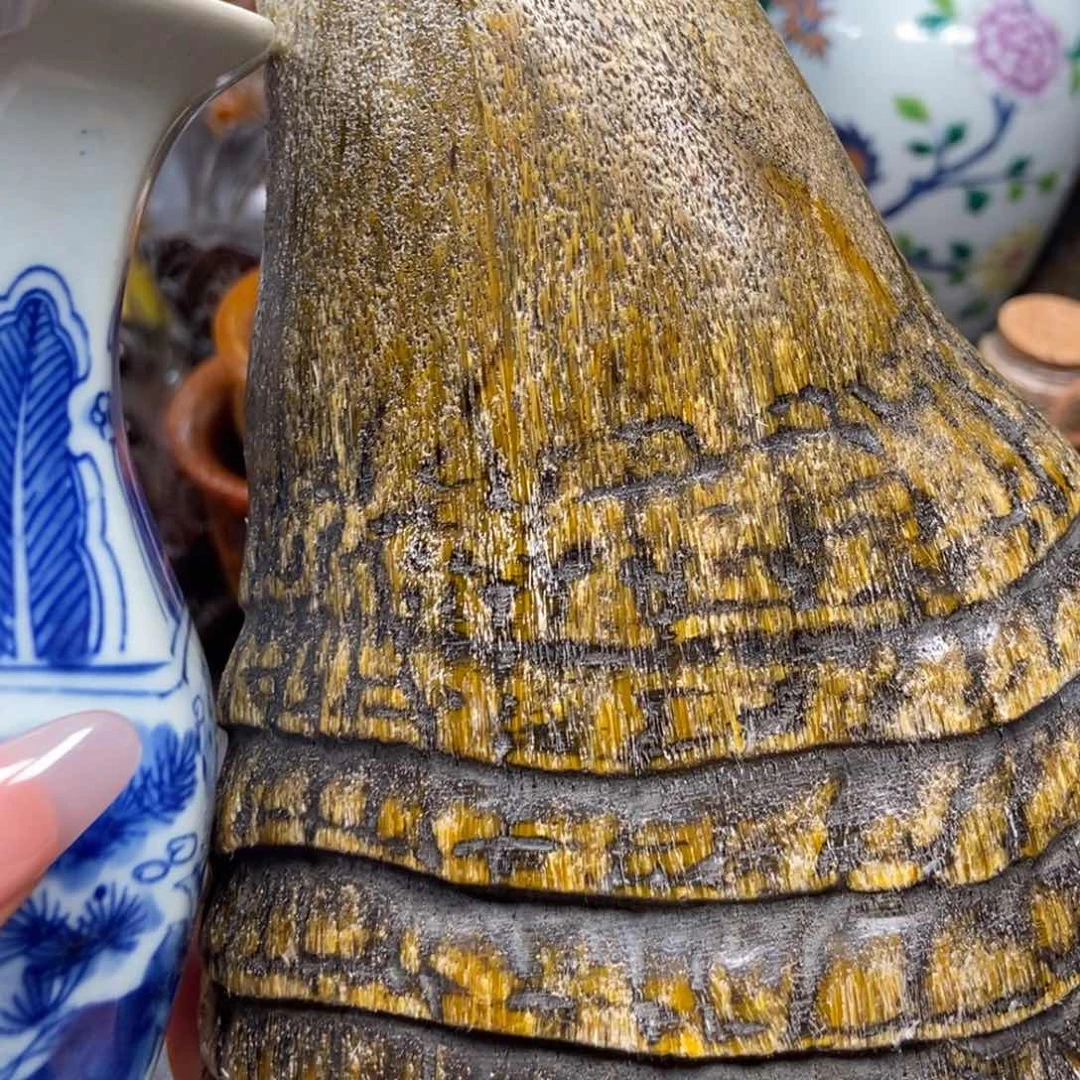 主播节目有多精彩呢我们