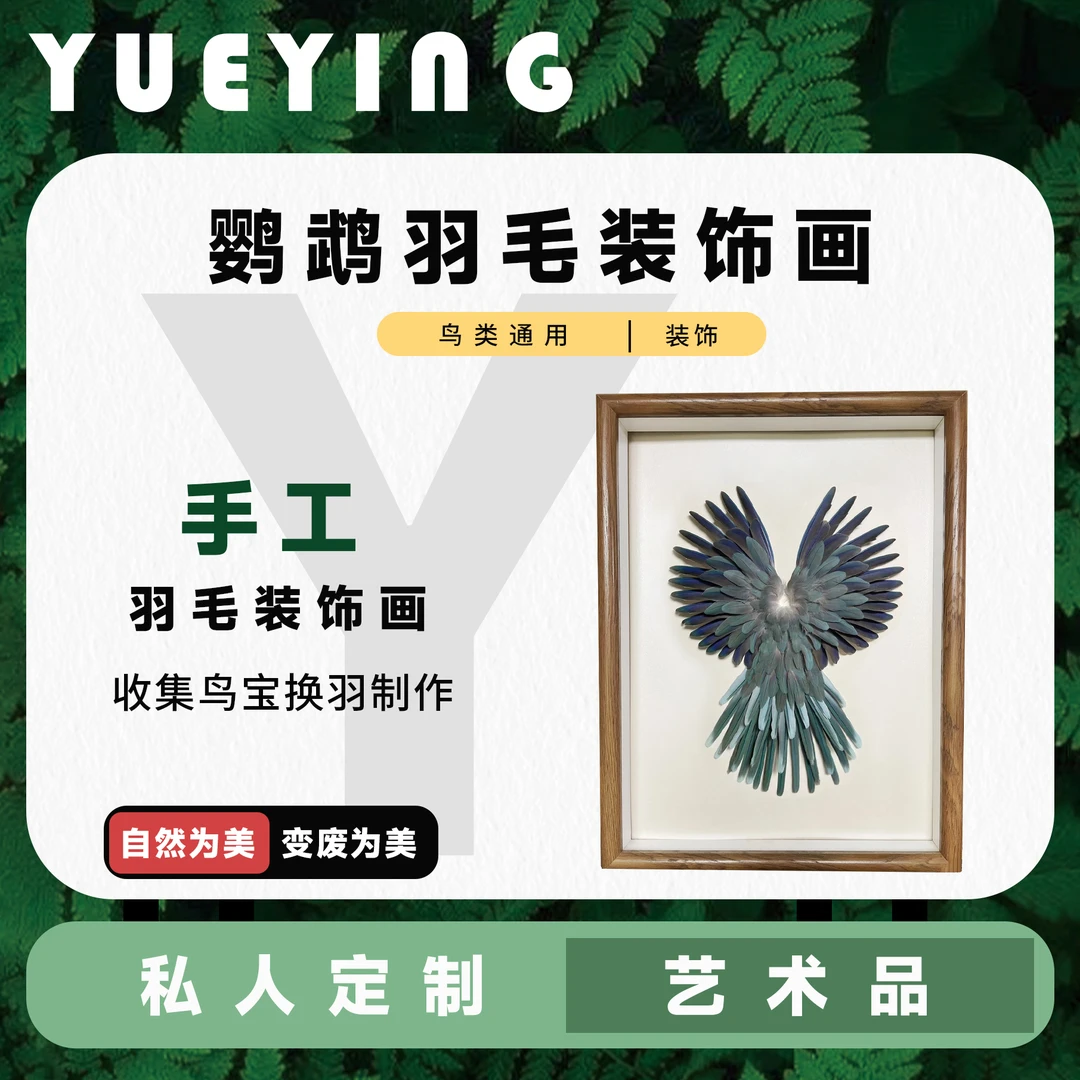 悦鹦私人定制鹦鹉羽毛装饰画手工打造纪念意义鹦鹉标本和尚太阳
