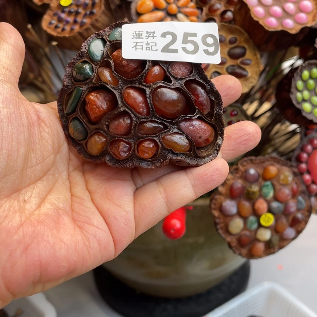 核桃木/黑胡桃（胡桃木）九**君259