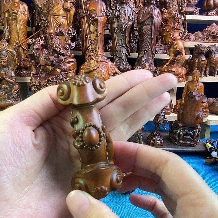 黄杨木小叶黄杨木