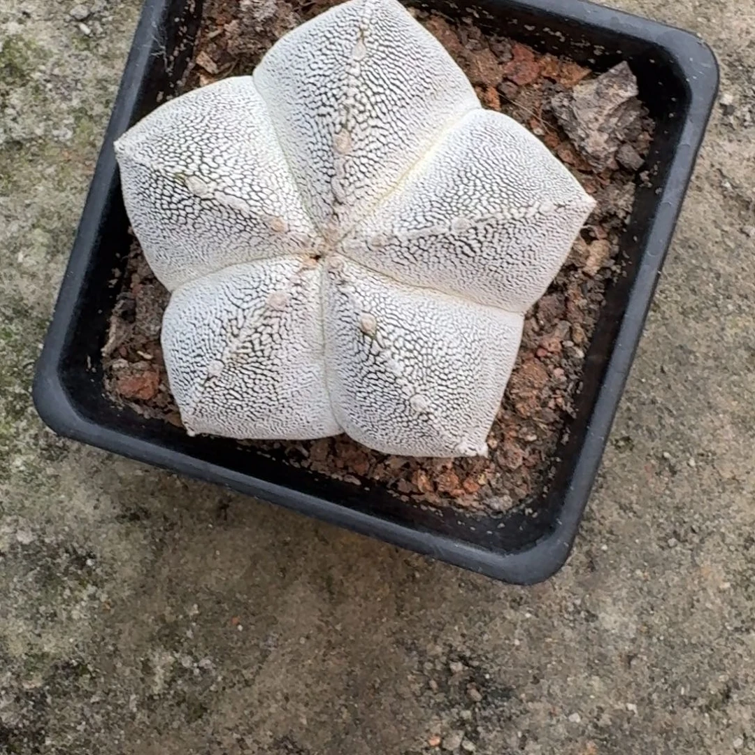 真***11111111111111111111