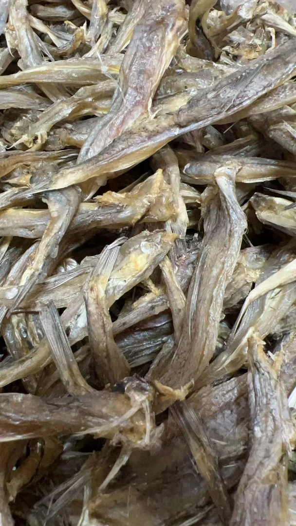 哥丁鱼干海味海产品