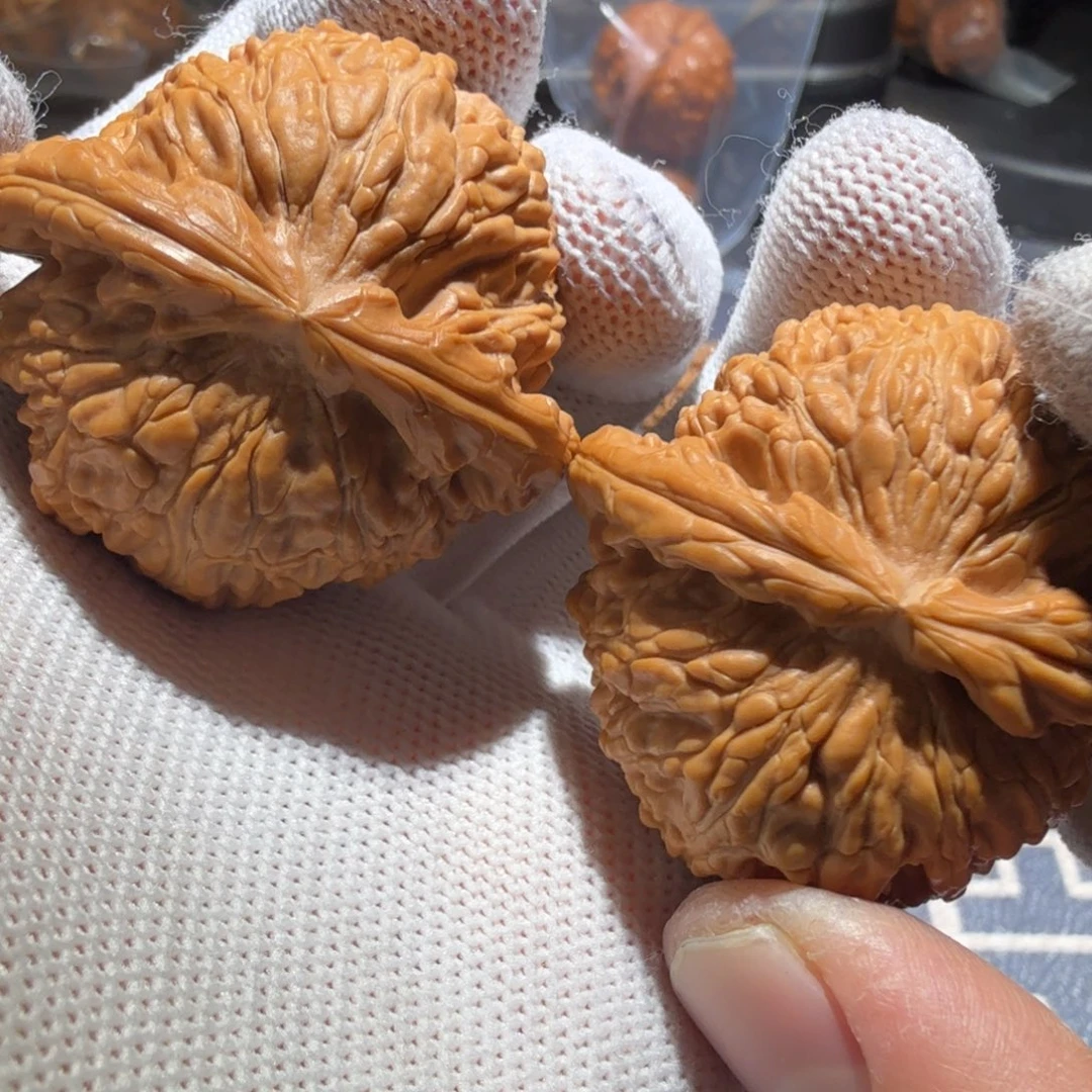 把件文玩核桃白狮子