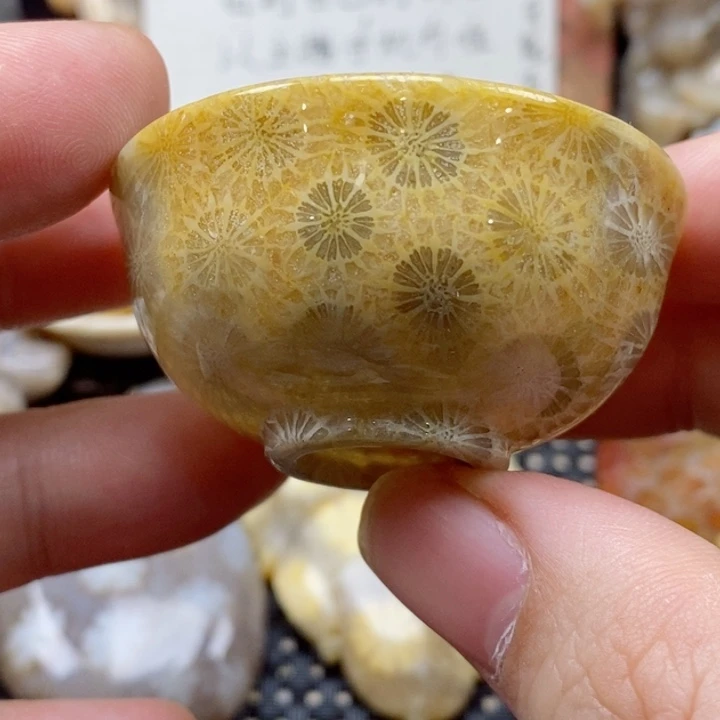 硅化珊瑚（珊瑚玉）颈饰未镶嵌