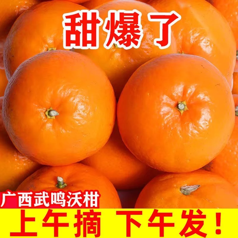 【爆甜】正宗广西武鸣沃柑新鲜产地直发贵妃柑茂谷柑非无籽沃柑沃柑