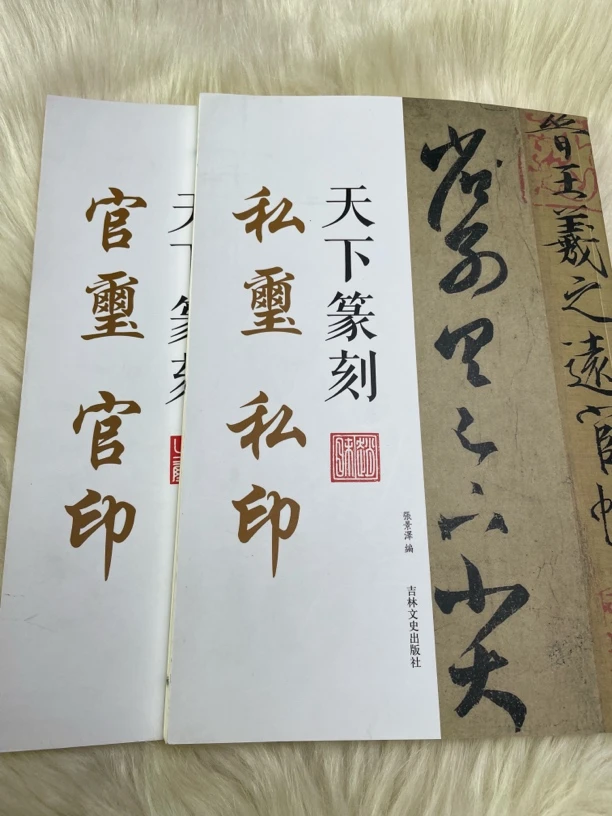 天下篆刻官玺官印私玺私印两本合拍