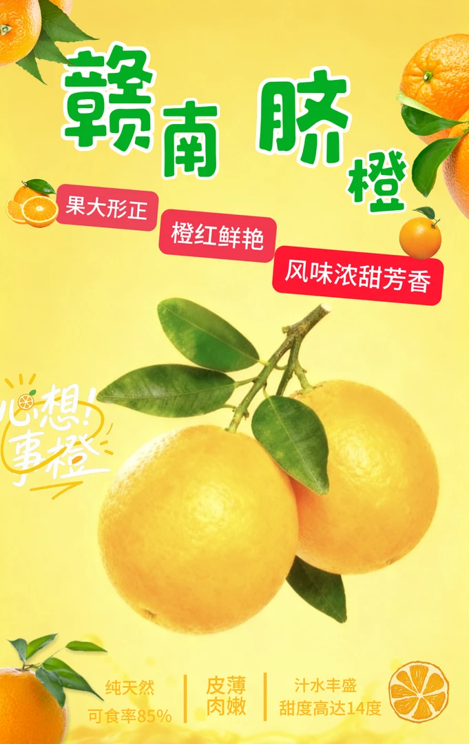 江西特产赣南脐橙