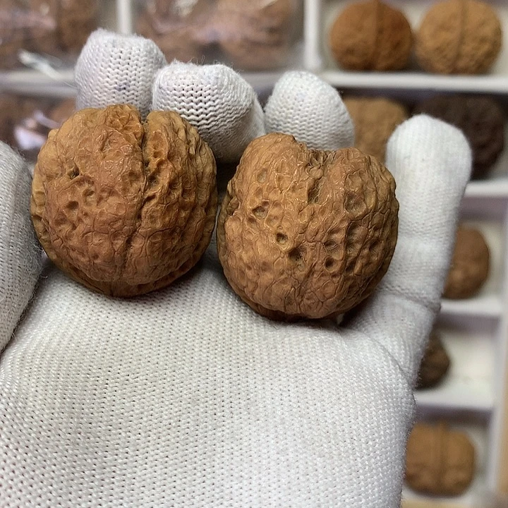 核桃37尺小凹底22号