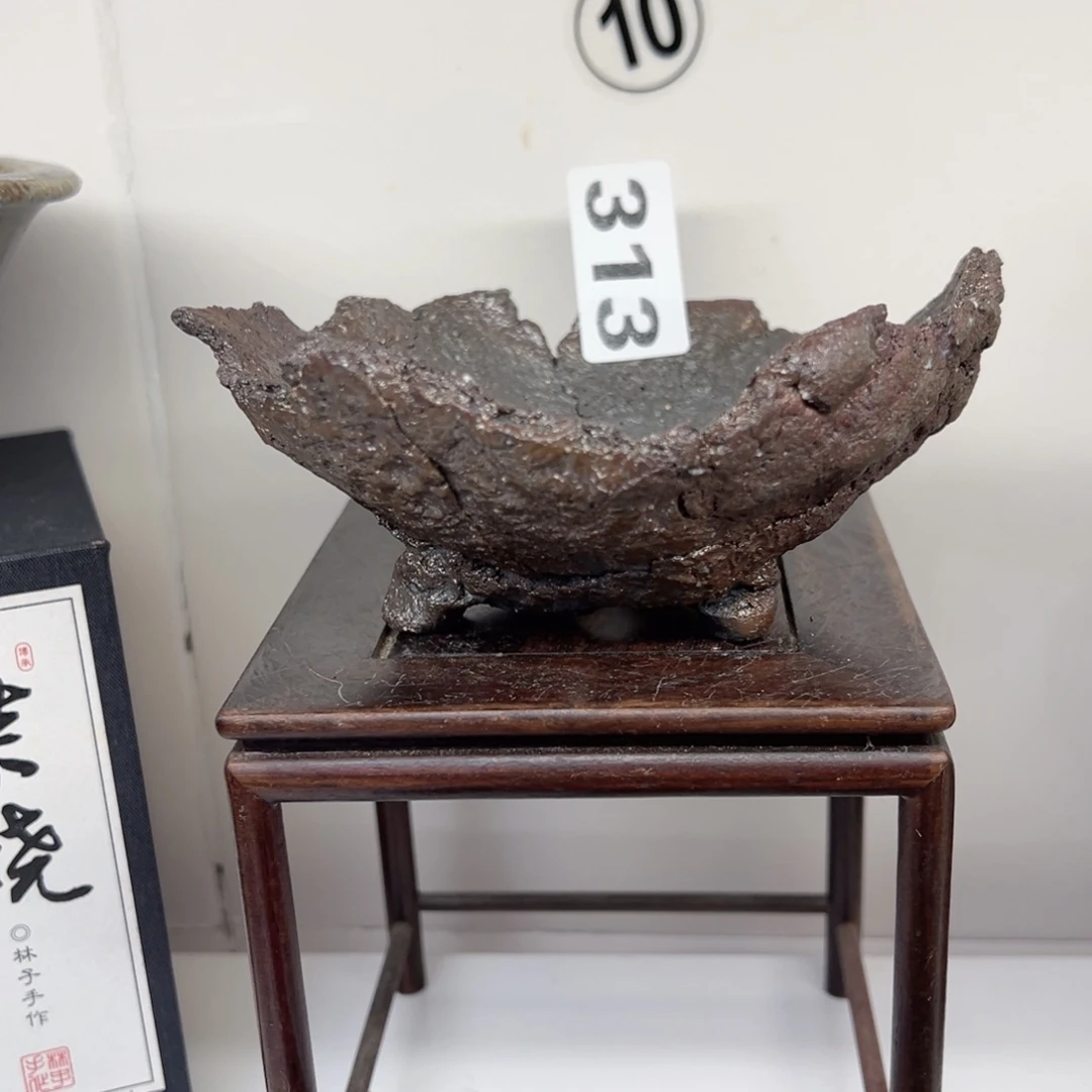 313////////////////////////