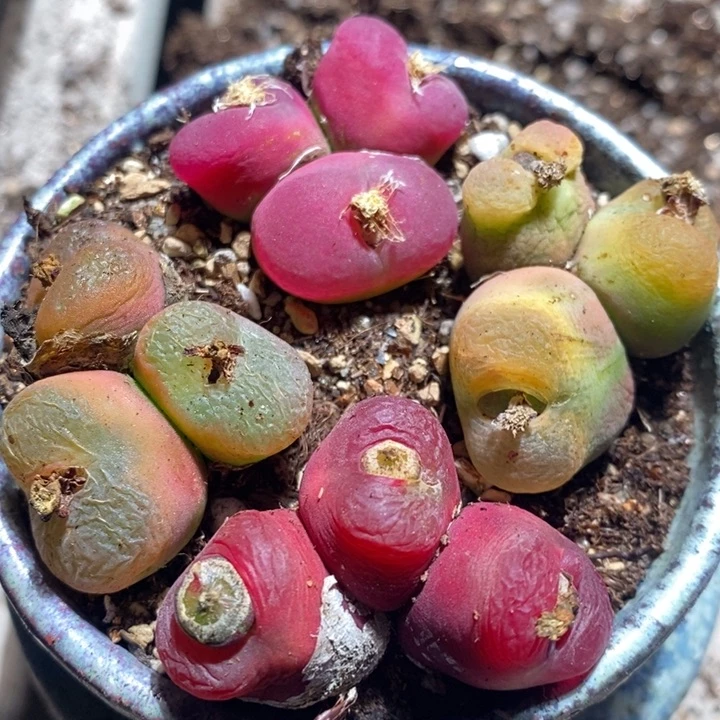 26225有伤一组一组