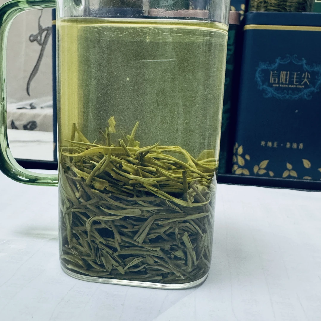 2025年信阳毛尖绿茶(A8)新茶雨前中小芽栗香耐泡醇厚500g250g