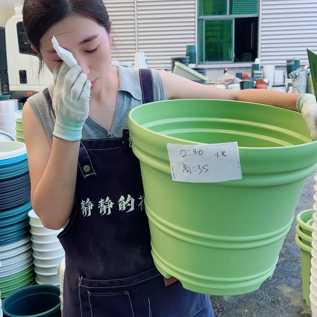 罗马盆小号果绿3个无托