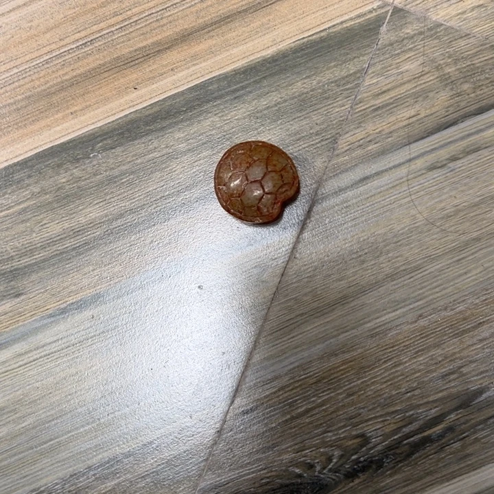 和田玉（黄玉）未镶嵌挂件