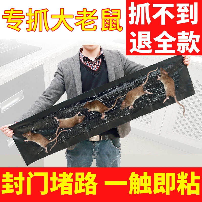 视频同款 强力灭鼠魔毯 粘鼠板 胶水多粘性强 封门堵路