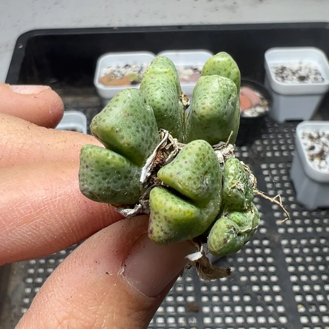 【闪购商品】200……