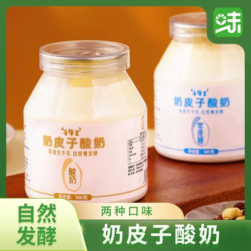 内蒙千牛王奶皮子酸奶500g*2瓶内蒙特产酸奶味零蔗糖味酸甜