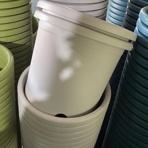 树脂特价5号20个无托灰白