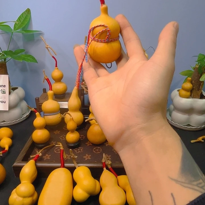 赵***赵葫芦葫芦葫芦葫芦