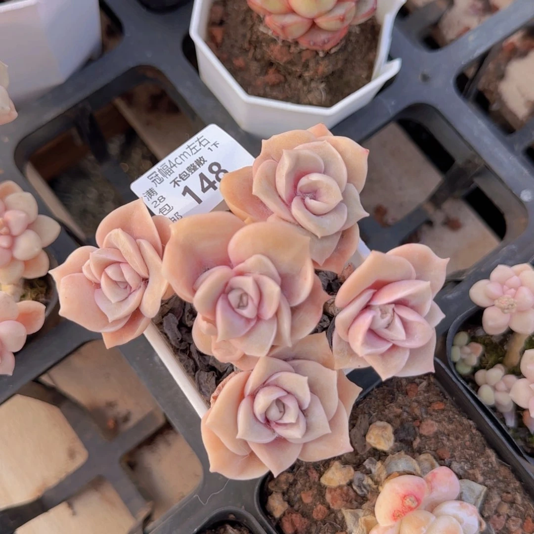 全场满28包邮零下拍保温