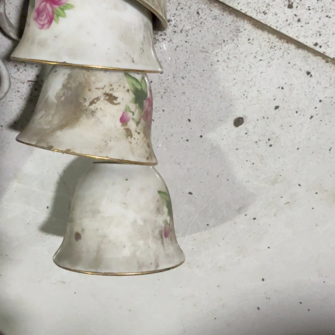 ****美茶盏我们是有共同话题有分歧