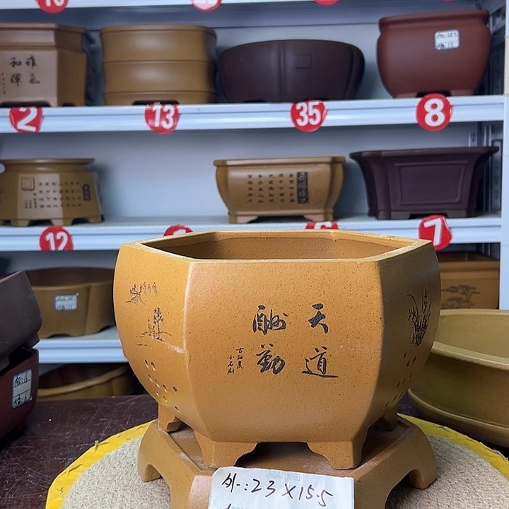 花盆紫砂你在一起