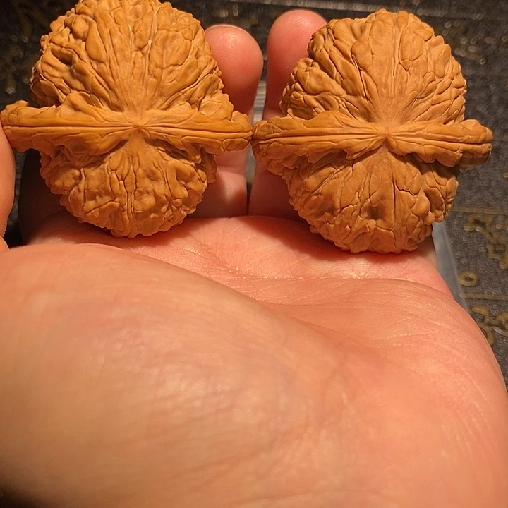 手串/手链核桃45 白狮子修