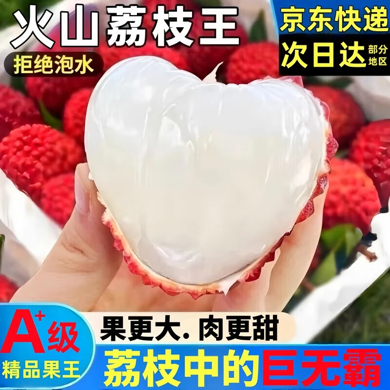 【顺丰到家】海南火山荔枝王巨无霸火山口无核肉厚超甜新鲜孕妇水果