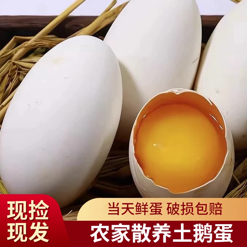 新鲜12枚散养雁鹅蛋农家散养现捡现发健康餐食80g-100/个