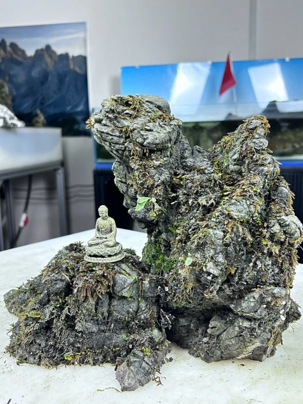 流水流沙  龟纹石（造景石）