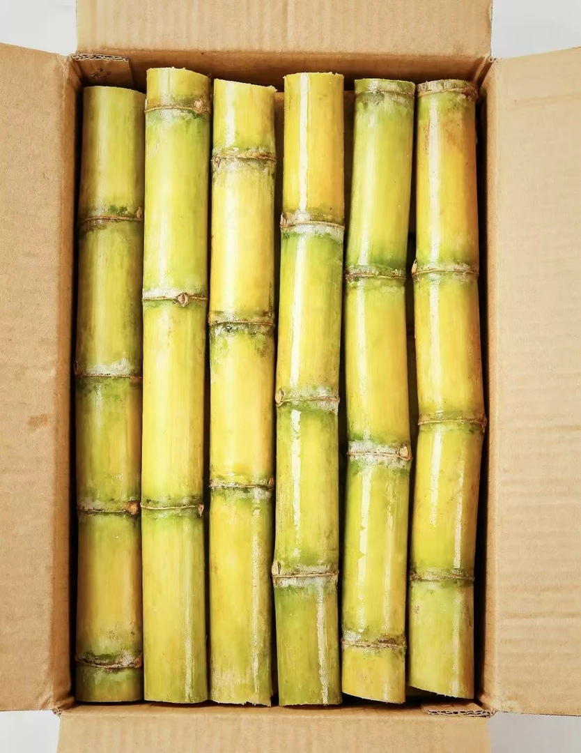 【黄金甘蔗】云南新鲜黄金甘蔗当季水果汁多清甜不齁甜产地直发