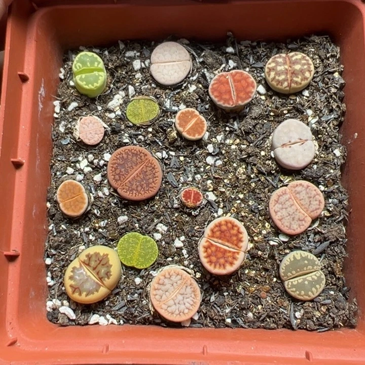【闪购商品】1158……