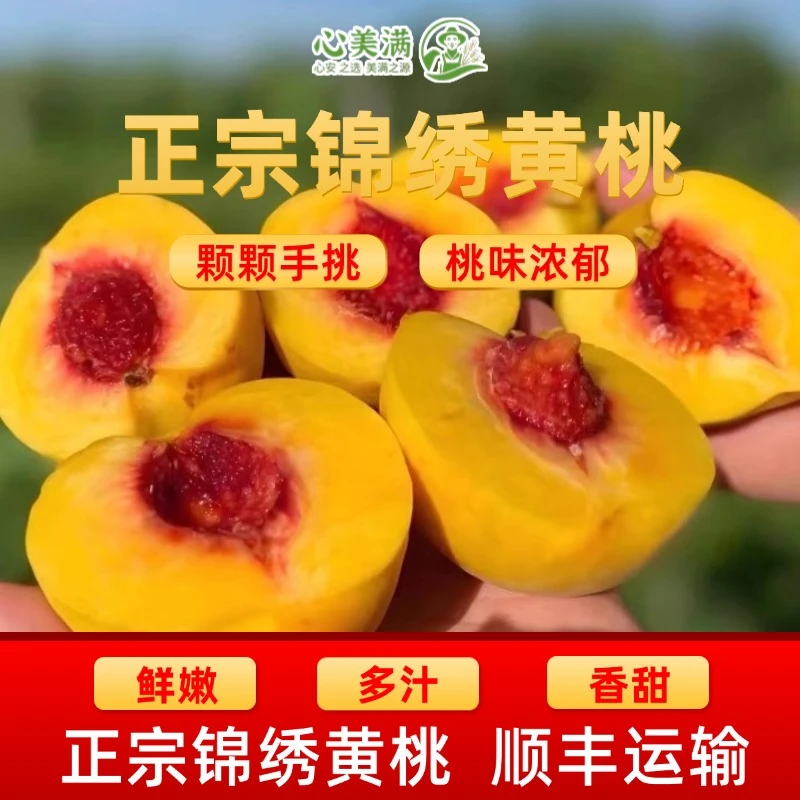 心美满高山黄桃新鲜现摘现发5斤礼盒装脆桃大黄桃包邮