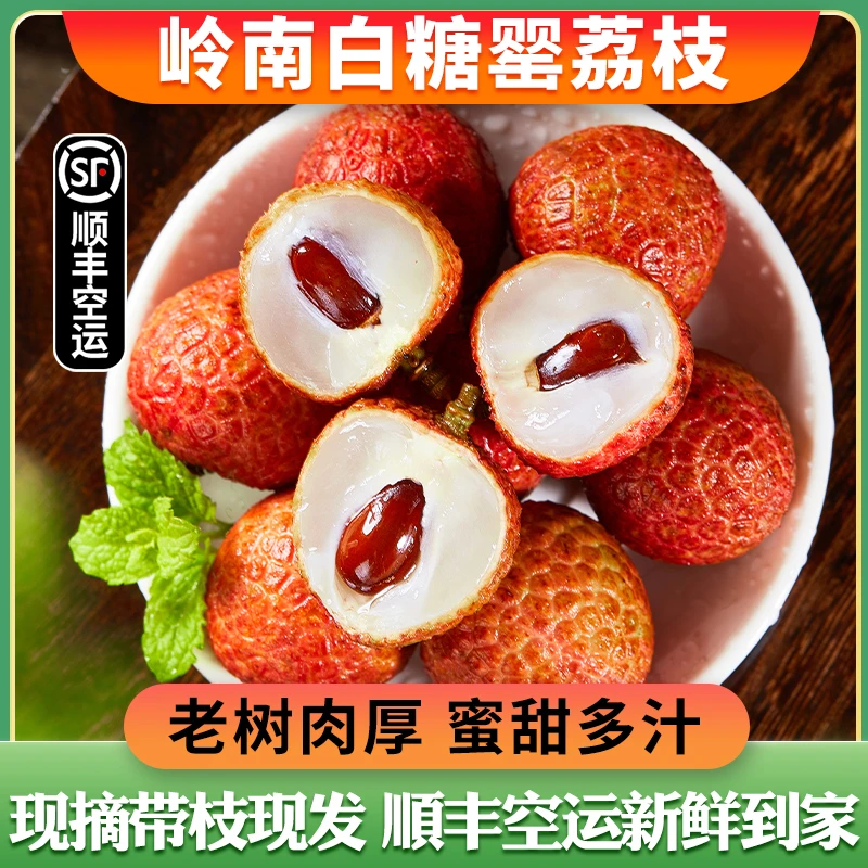 【华南5省】白糖罂荔枝新鲜现摘水果当季糯米桂糍味甜老树顺丰包邮