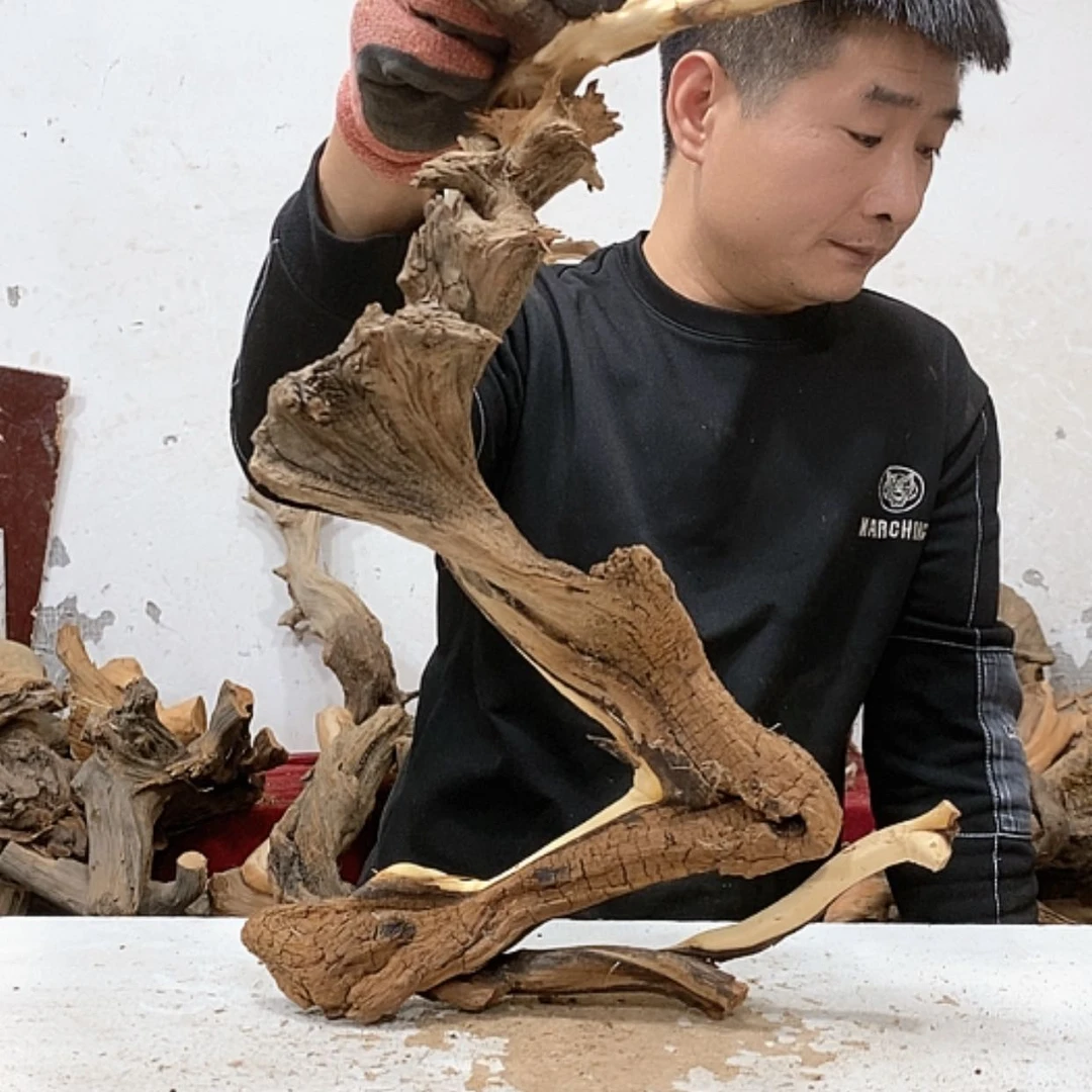 【闪购商品】柏木檀**型我们都是好孩子