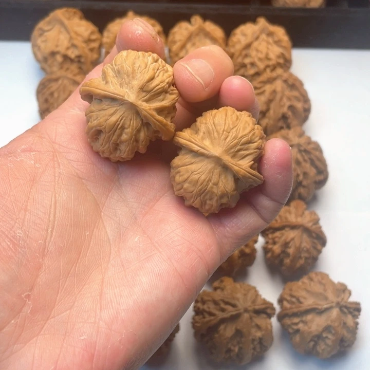 文玩核桃把件文玩城的小伙伴们