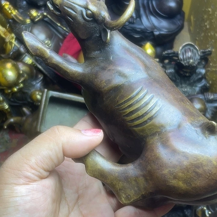 健健康康快快乐乐