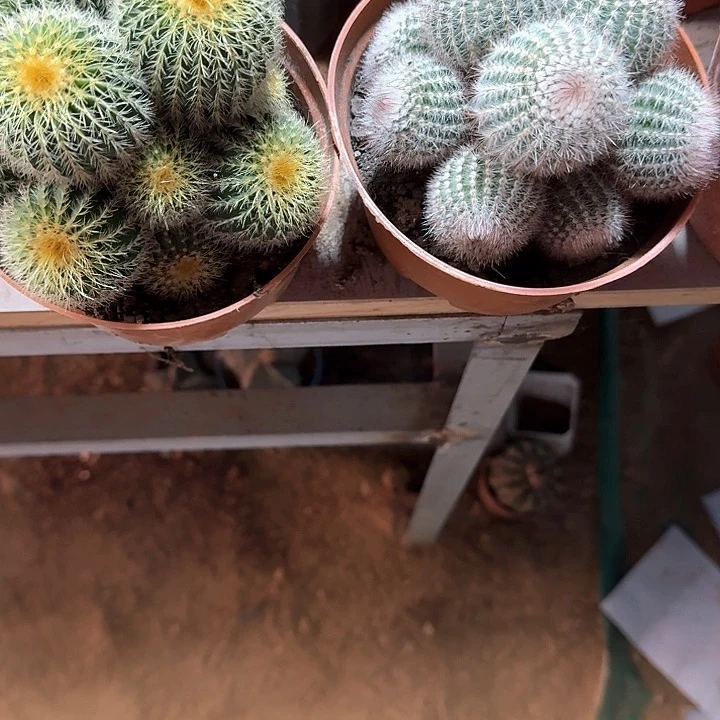 ◆***◇哈哈哈哈哈哈哈哈哈