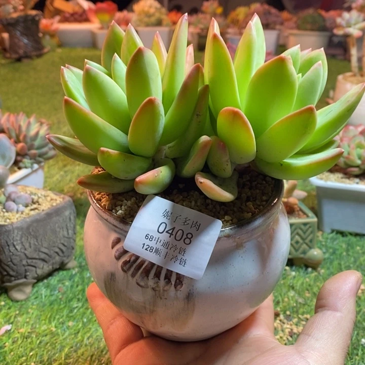0408啊啊啊啊啊啊啊啊啊啊