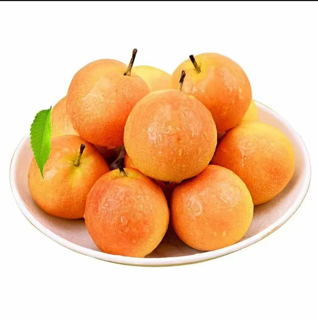 （福利款）鞍山南果梨(红黄混装)家庭装