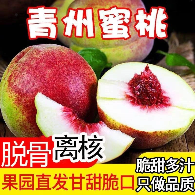 正宗山东青州蜜桃离核秋冬蜜桃树梢新鲜采摘脆嫩爆甜青皮毛桃