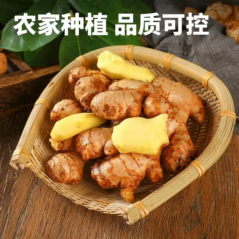 正宗云南小黄姜新鲜现挖优质生姜嫩姜山地种植香味浓郁辛辣味足aa