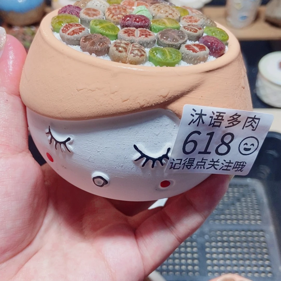 一物一拍 所见即所得618