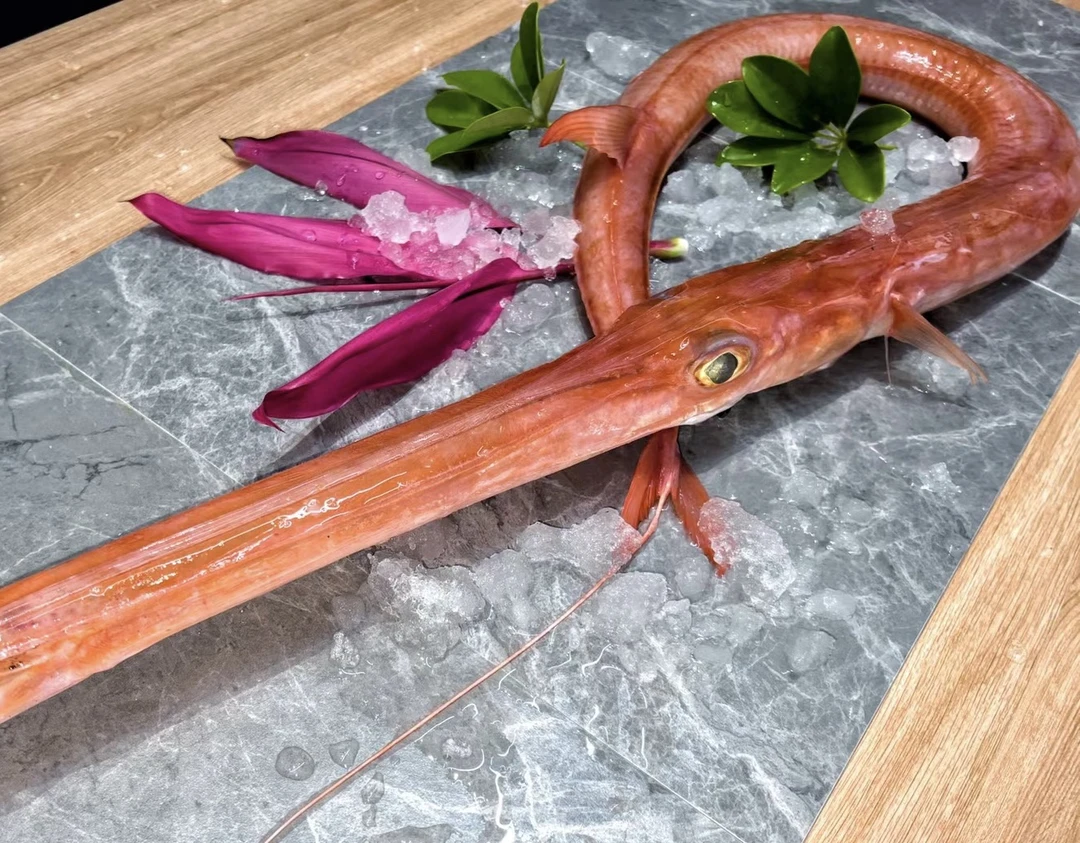 新鲜海捕红烟管鱼 马鞭鱼 肉质鲜美无小刺