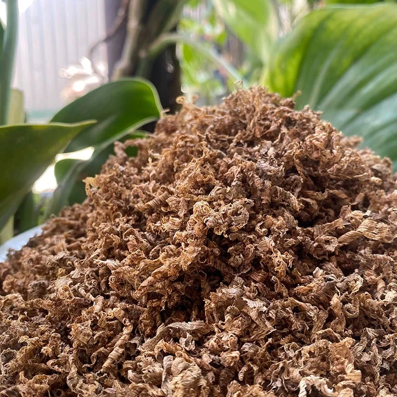 琬馨推荐天然沉香刮丝多发性发一件