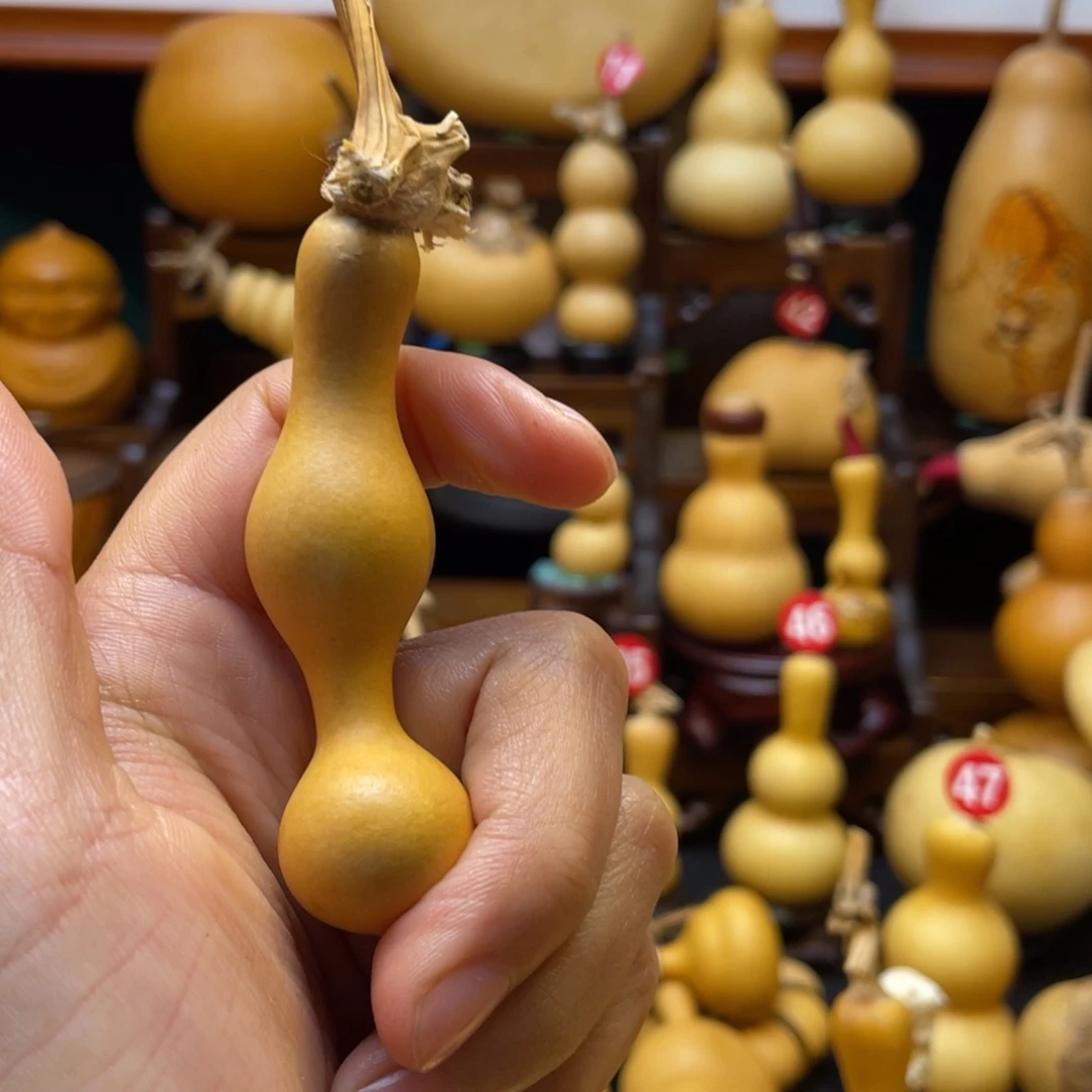 ?***?葫芦等多种颜色的花鸟画