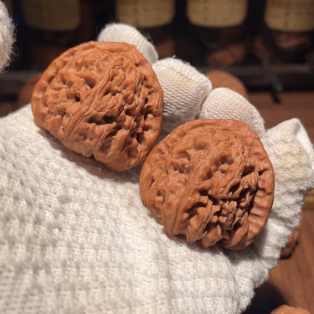 核桃41三角白bbbbb