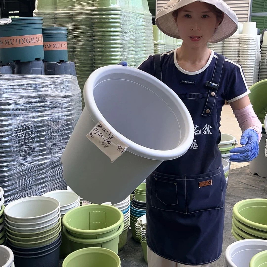 四季盆8#灰白色5个无托