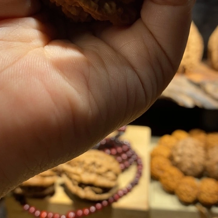 純***構木质四棱龙骨，文玩，把玩